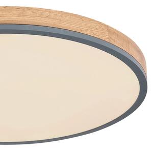 Globo 416080WD4R-CCT - LED Stmiev. stropné svietidlo DORO LED/40W/230V 2700-6500K + DO
