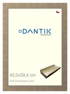 DANTIK rám na obraz 42x59,4 | Golf champagne (Plexi Čiré)