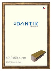 DANTIK rám na obraz 42x59,4 | TRITON zlatá (Plexi Čiré)