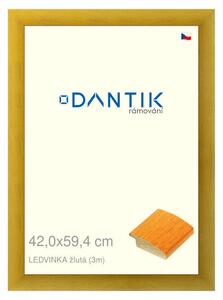 DANTIK rám na obraz 42x59,4 | LEDVINKA žlutá (Plexi Čiré)