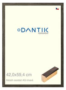 DANTIK rám na obraz 42x59,4 | Metalli oidati AG tmavá (Plexi Čiré)