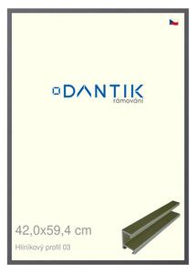 DANTIK rám na obraz 42x59,4 | ALU Platina matná (Plexi Čiré)