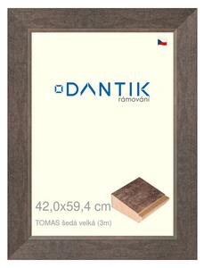 DANTIK rám na obraz 42x59,4 | TOMAS šedá velká (Plexi Čiré)