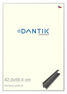 DANTIK rám na obraz 42x59,4 | ALU Stříbrná lesklá (Plexi Čiré)
