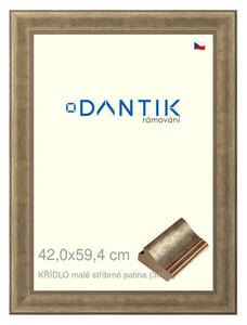 DANTIK rám na obraz 42x59,4 | KŘÍDLO malé stříbrné patina (Plexi Čiré)