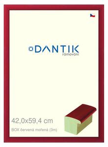 DANTIK rám na obraz 42x59,4 | BOX červená mořená (Plexi Čiré)