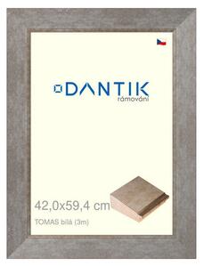 DANTIK rám na obraz 42x59,4 | TOMAS bílá velká (Plexi Čiré)