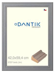 DANTIK rám na obraz 42x59,4 | STEP šedá (Plexi Čiré)