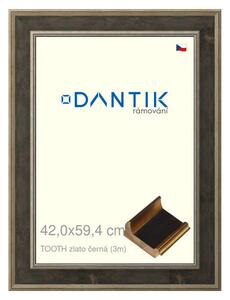DANTIK rám na obraz 42x59,4 | TOOTH zlato černá (Plexi Čiré)