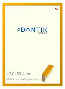 DANTIK rám na obraz 42x59,4 | PERLA žlutá lesklá vysoká (Plexi Čiré)