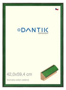DANTIK rám na obraz 42x59,4 | INCLINATA colori zelená (Plexi Čiré)