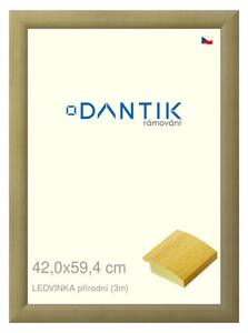 DANTIK rám na obraz 42x59,4 | LEDVINKA přírodní (Plexi Čiré)