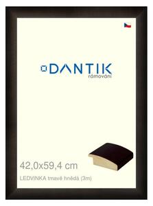 DANTIK rám na obraz 42x59,4 | LEDVINKA tmavě hnědá (Plexi Čiré)