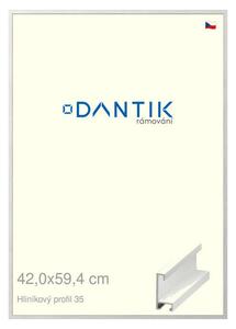 DANTIK rám na obraz 42x59,4 | ALU Dýha bílá (Plexi Čiré)