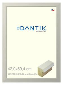 DANTIK rám na obraz 42x59,4 | WOODLINE bílá prodřená (Plexi Čiré)