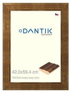 DANTIK rám na obraz 42x59,4 | TRITON široký zlatý (Plexi Čiré)