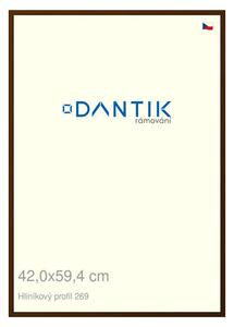 DANTIK rám na obraz 42x59,4 | ALU Hnědá umbra broušená (Plexi Čiré)