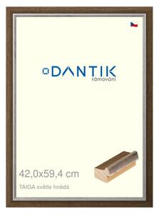 DANTIK rám na obraz 42x59,4 | TAIGA sv.hnědá (Plexi Čiré)