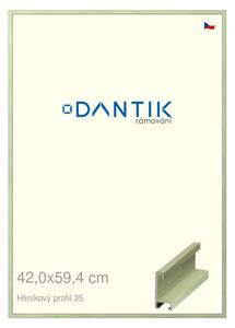 DANTIK rám na obraz 42x59,4 | ALU Dýha barevná zelená pastel (Plexi Čiré)