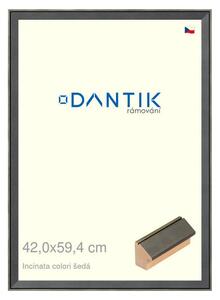 DANTIK rám na obraz 42x59,4 | INCLINATA colori šedá (Plexi Čiré)