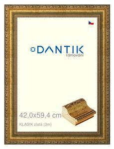DANTIK rám na obraz 42x59,4 | KLASIK zlatá (Plexi Čiré)