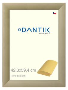 DANTIK rám na obraz 42x59,4 | René bílá (Plexi Čiré)