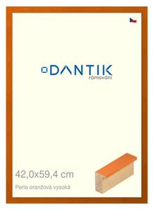 DANTIK rám na obraz 42x59,4 | PERLA oranžová vysoká (Plexi Čiré)