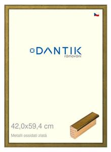 DANTIK rám na obraz 42x59,4 | Metalli oidati zlatá (Plexi Čiré)