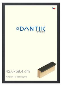 DANTIK rám na obraz 42x59,4 | KASSETTE šedá (Plexi Čiré)
