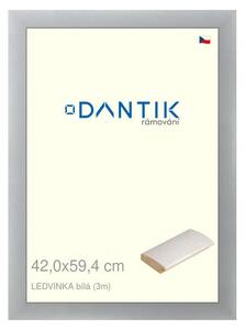 DANTIK rám na obraz 42x59,4 | LEDVINKA bílá (Plexi Čiré)