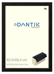DANTIK rám na obraz 42x59,4 | WOODLINE černá (Plexi Čiré)