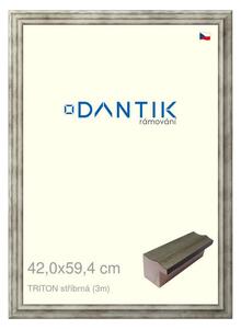 DANTIK rám na obraz 42x59,4 | TRITON stříbrná (Plexi Čiré)