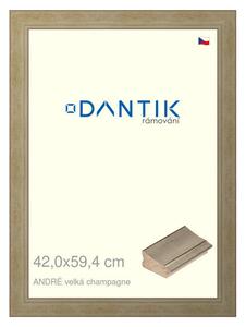 DANTIK rám na obraz 42x59,4 | ANDRÉ velká champagne (Plexi Čiré)