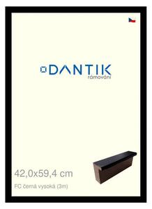 DANTIK rám na obraz 42x59,4 | FC černá vysoká (Plexi Čiré)