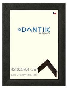 DANTIK rám na obraz 42x59,4 | SARTORI listy čer.s. (Plexi Čiré)