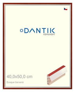 DANTIK rám na obraz 40x50 | EVOQUE červená (Plexi Čiré)