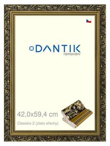 DANTIK rám na obraz 42x59,4 | Claico 2 (zlato ořechy) (Plexi Čiré)