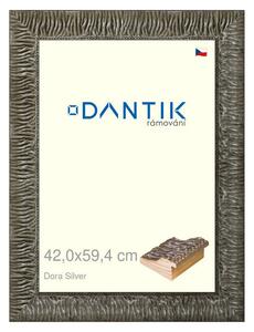 DANTIK rám na obraz 42x59,4 | Dora Silver (Plexi Čiré)