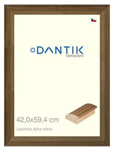 DANTIK rám na obraz 42x59,4 | LEDVINKA dýha ořech (Plexi Čiré)