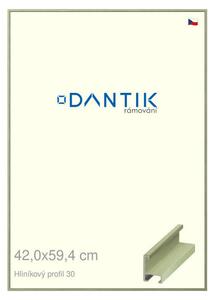 DANTIK rám na obraz 42x59,4 | ALU Dýha barevná zelená pastel (Plexi Čiré)