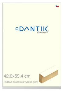 DANTIK rám na obraz 42x59,4 | PERLA bílá lesklá vysoká (Plexi Čiré)