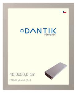 DANTIK rám na obraz 40x50 | FC Bílá plochá (Plexi Čiré)