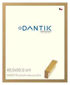 DANTIK rám na obraz 40x50 | KASSETTE přírodní lakovaná (Plexi Čiré)