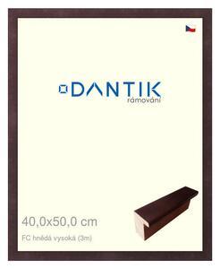 DANTIK rám na obraz 40x50 | FC hnědá vysoká (Plexi Čiré)