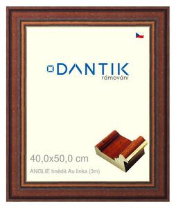 DANTIK rám na obraz 40x50 | ANGLIE hnědá Au linka (Plexi Čiré)