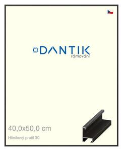 DANTIK rám na obraz 40x50 | ALU Dýha černá (Plexi Čiré)