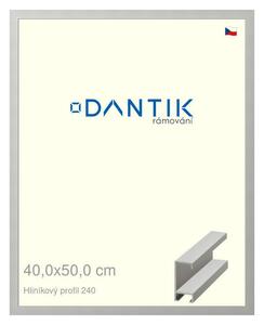 DANTIK rám na obraz 40x50 | ALU Stříbrná matná (Plexi Čiré)