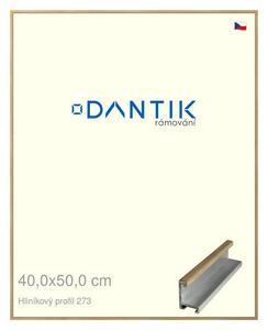 DANTIK rám na obraz 40x50 | ALU Dýha dub (Plexi Čiré)