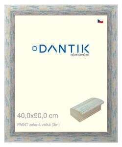 DANTIK rám na obraz 40x50 | PAINT zelená velká (Plexi Čiré)