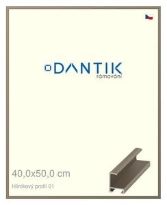 DANTIK rám na obraz 40x50 | ALU champagne (Plexi Čiré)